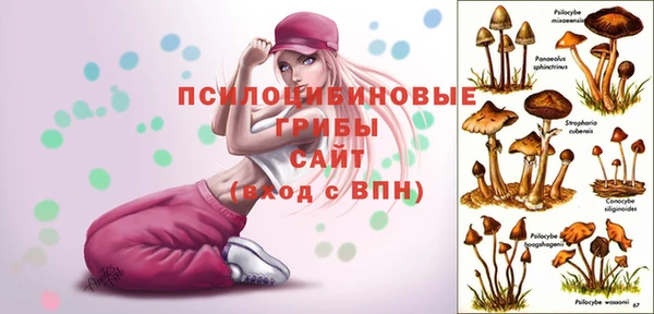 PSILOCYBIN Волоколамск